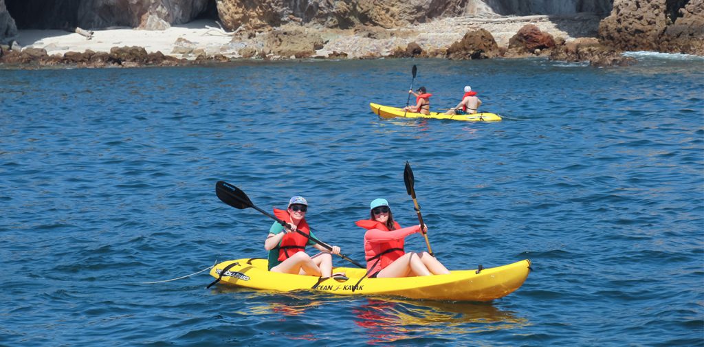Descubre la emoción de explorar la naturaleza marina en Puerto Vallarta.